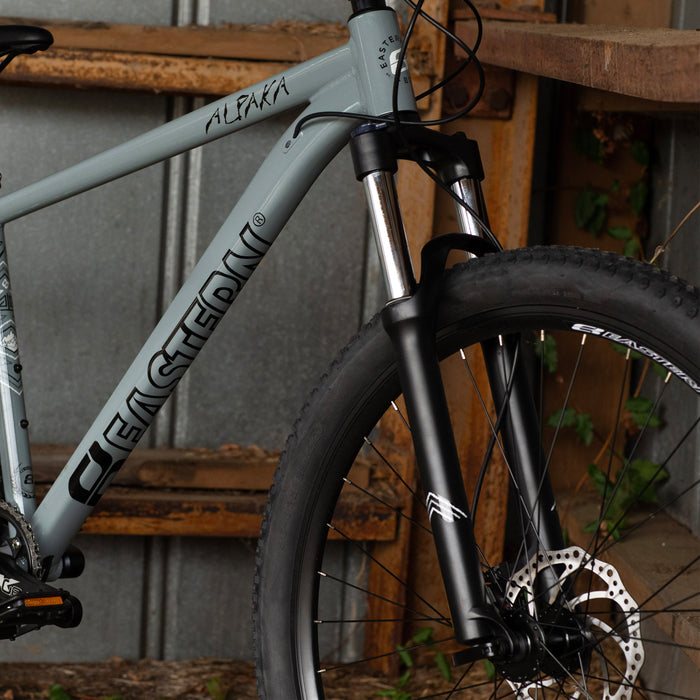 Alpaka 29 MTB Hardtail Bike 1.0 - Grey