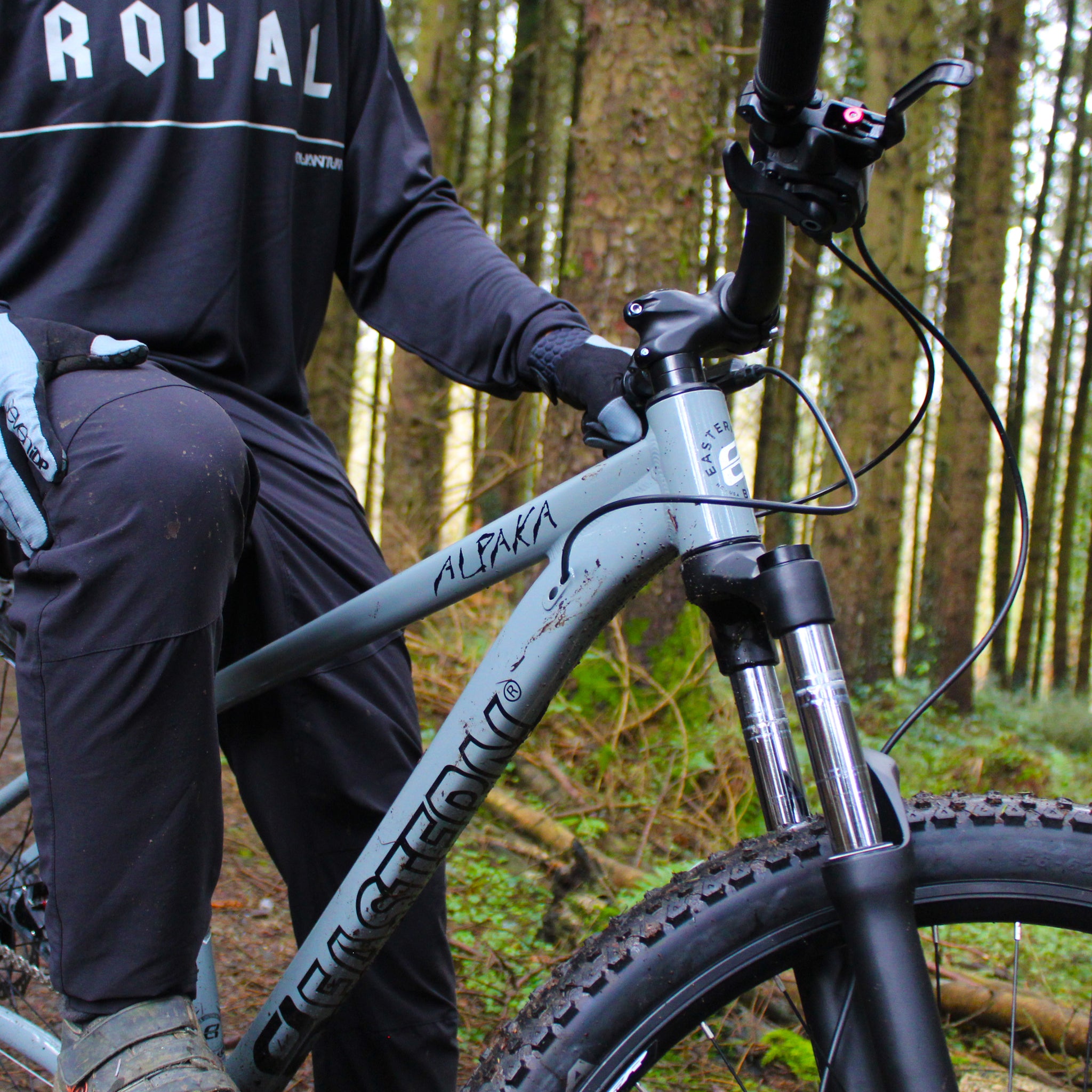 Alpaka 29 MTB Hardtail Bike 1.0 - Grey - EasternBikesUK