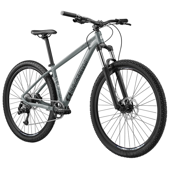 Alpaka 29 MTB Hardtail Bike 1.0 - Grey