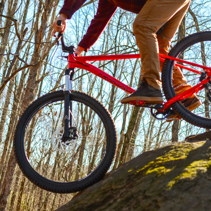 Alpaka 29 MTB Hardtail Bike 1.0 - Red