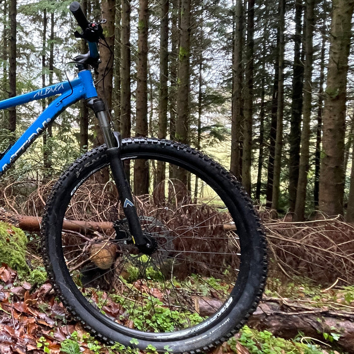 Alpaka 29 MTB Hardtail Bike 1.0 - Blue