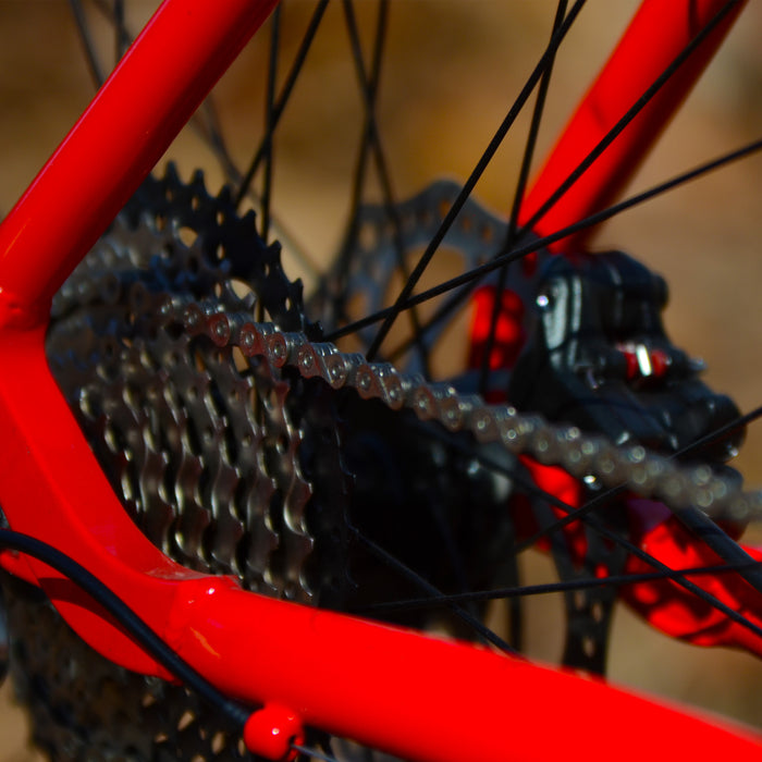 Alpaka 29 MTB Hardtail Bike 1.0 - Red