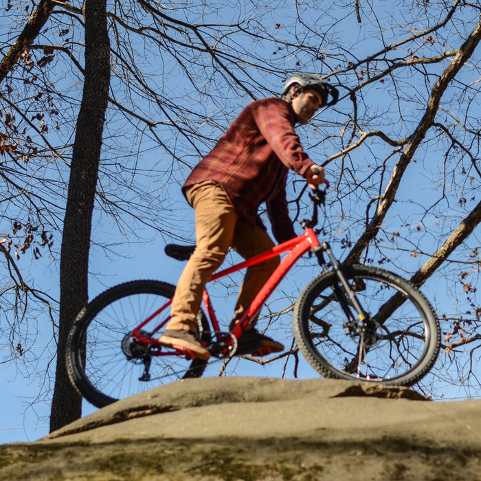 Alpaka 29 MTB Hardtail Bike 1.0 - Black