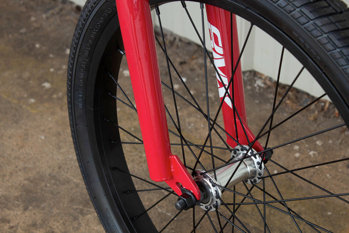Paydirt 20" BMX Bike