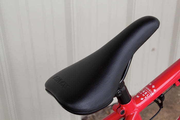Paydirt 20" BMX Bike
