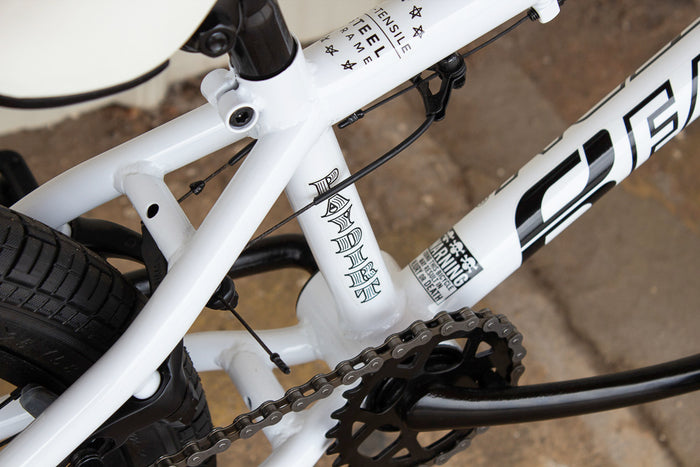 Paydirt 20" BMX Bike