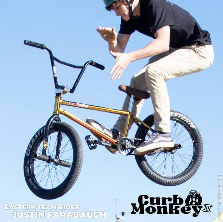 Curb Monkey 2 BMX Tire Black Silver EasternBikesUK