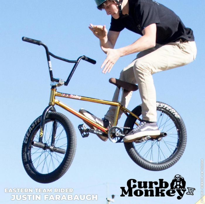 Curb Monkey 2 BMX Tire - Black-Silver