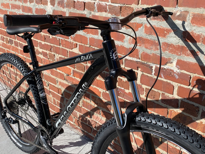 Alpaka 29 MTB Hardtail Bike 1.0 - Black