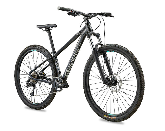 Alpaka 29 MTB Hardtail Bike 1.0 - Black