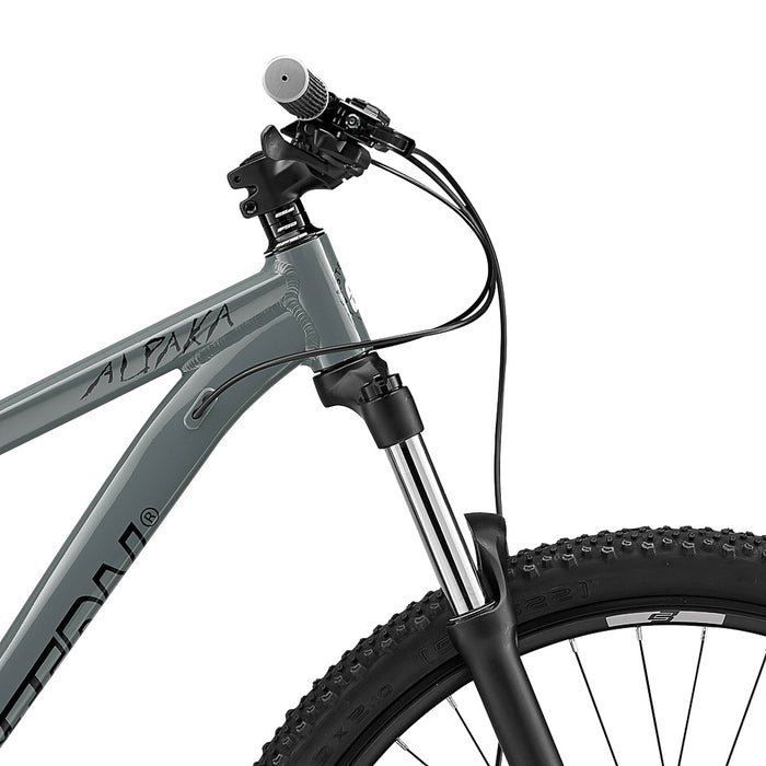 Alpaka 29 MTB Hardtail Bike 1.0 - Grey