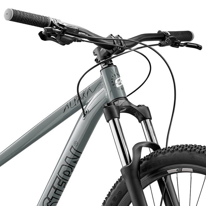 Alpaka 29 MTB Hardtail Bike - Grey