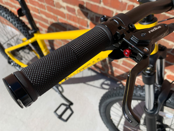 Alpaka 29 MTB Hardtail Bike 1.0 - Yellow
